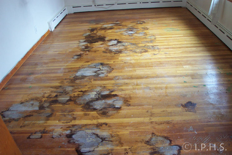International Parquetry Historical Society Wood flooring problems